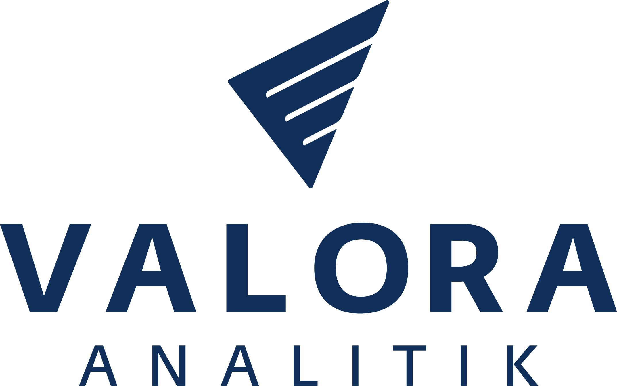 Valora Analitik